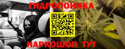 кокс Аргун