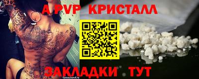 прущие грибы Дубна