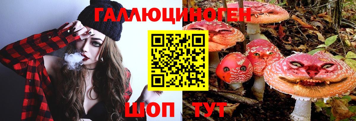 Галлюциногенные грибы Magic Shrooms Большой Камень
