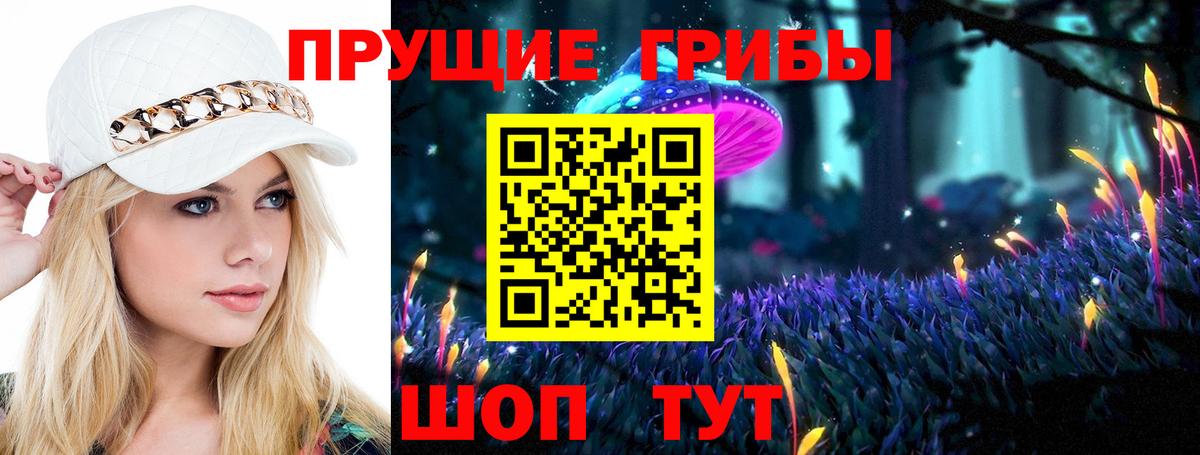 Галлюциногенные грибы MAGIC MUSHROOMS  магазин продажи наркотиков  Большой Камень  Вход с VPN 